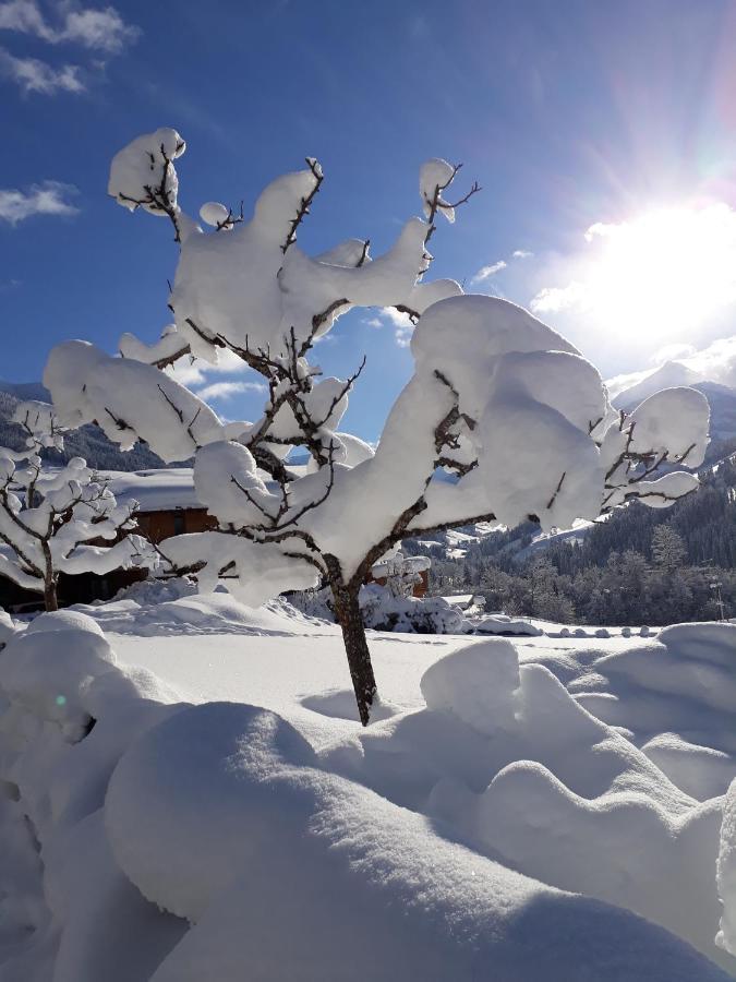 Haus Gmahblick Ferienwonungen Hotel Alpbach Exterior foto