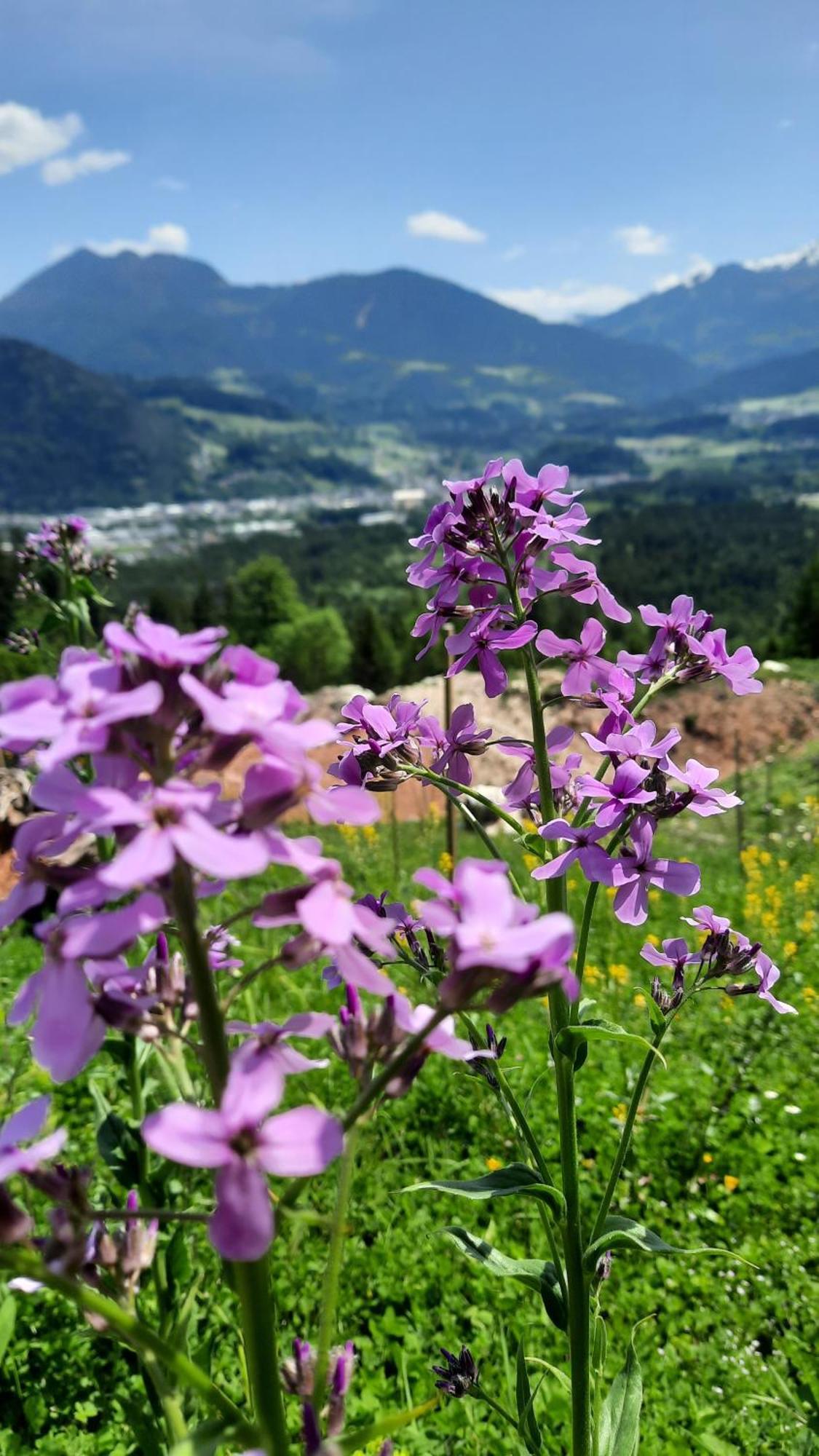 Haus Gmahblick Ferienwonungen Hotel Alpbach Exterior foto